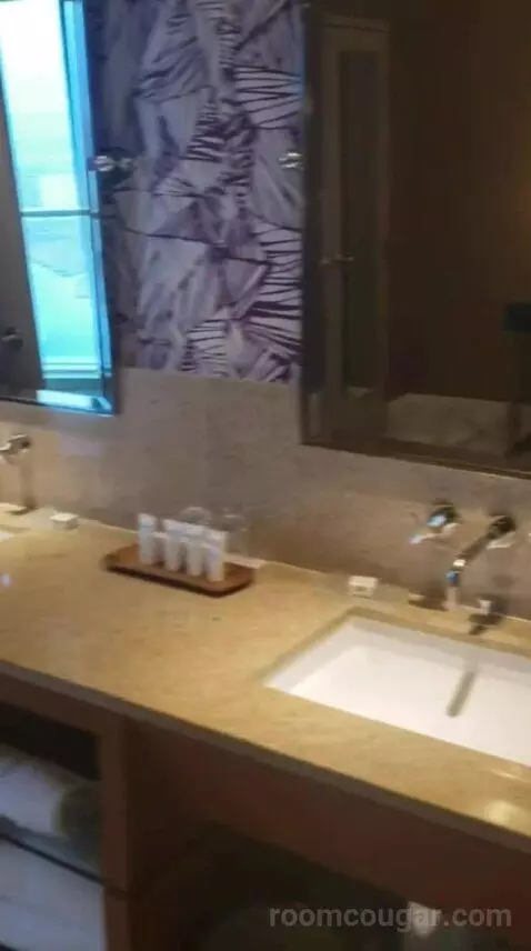 Fiore King Suite bathroom picture #11