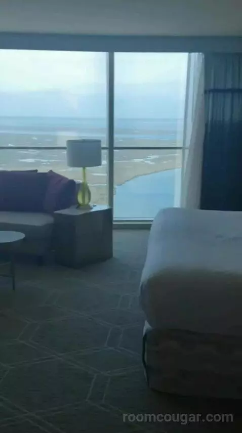 Fiore King Suite view picture #9