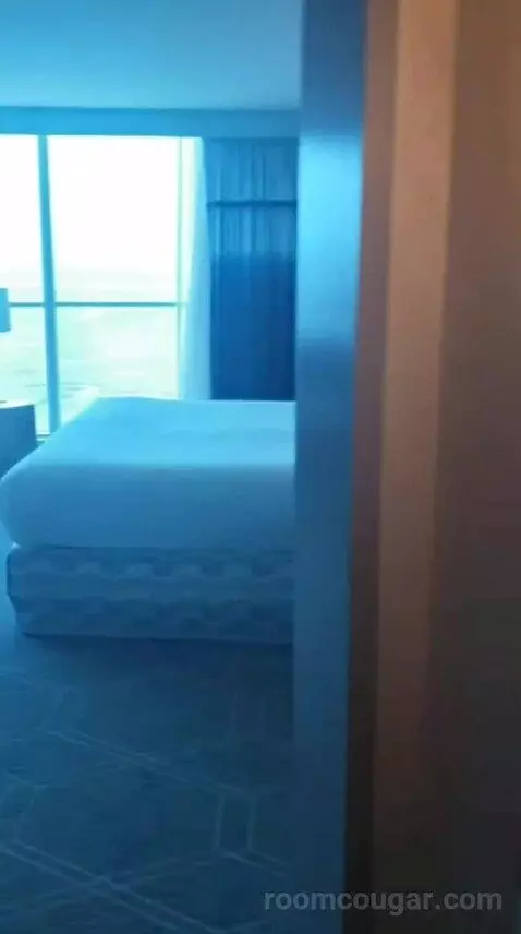 Fiore King Suite view picture #4