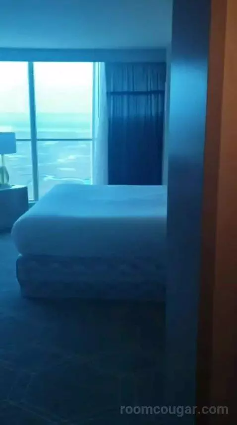 Fiore King Suite view picture #6