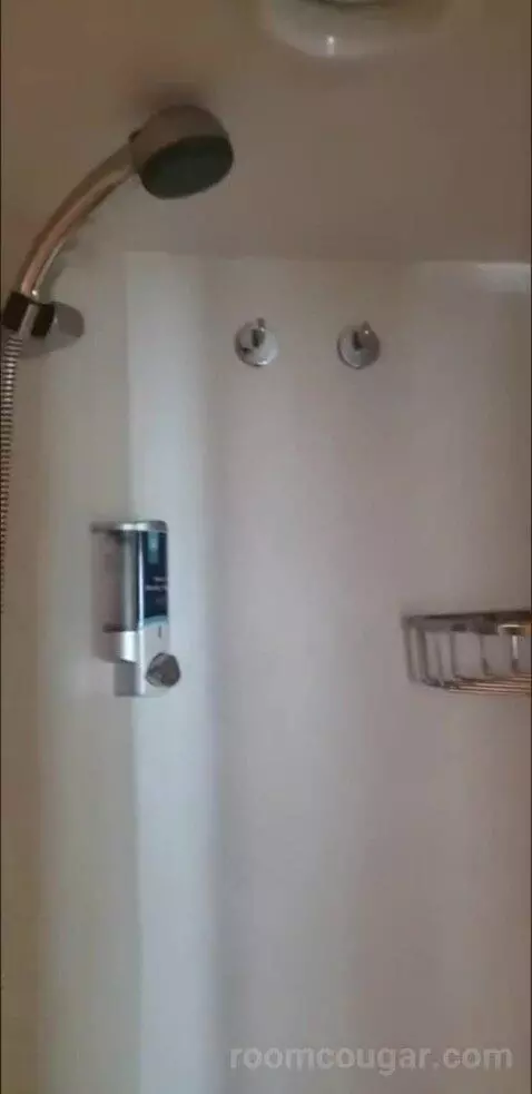 Ocean View Balcony (#11676) bathroom picture #7