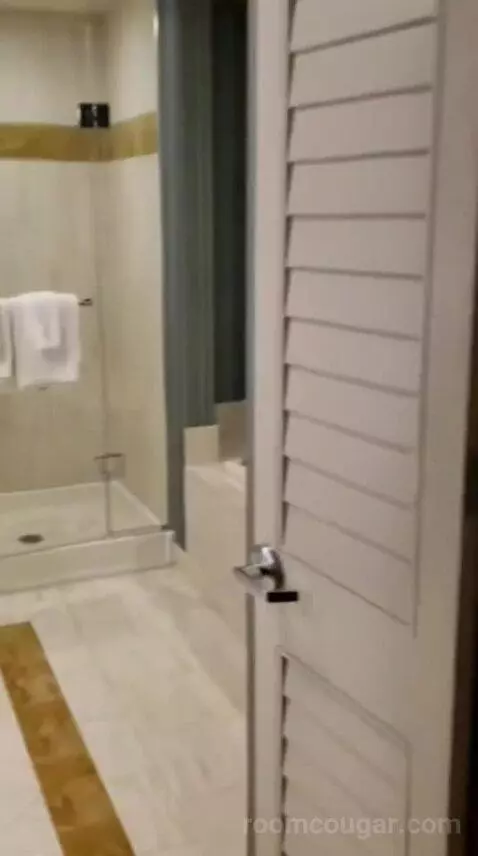 One Bedroom Penthouse Sky View Suite bathroom picture #3