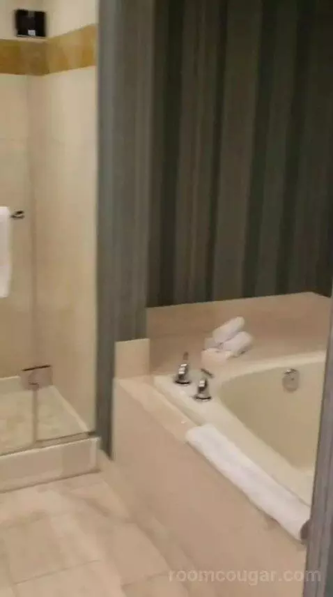 One Bedroom Penthouse Sky View Suite bathroom picture #4