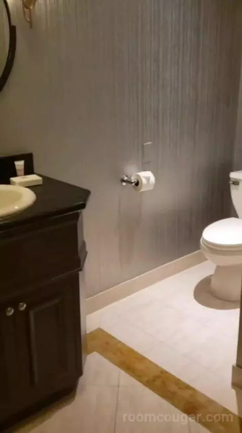 One Bedroom Penthouse Sky View Suite bathroom picture #1