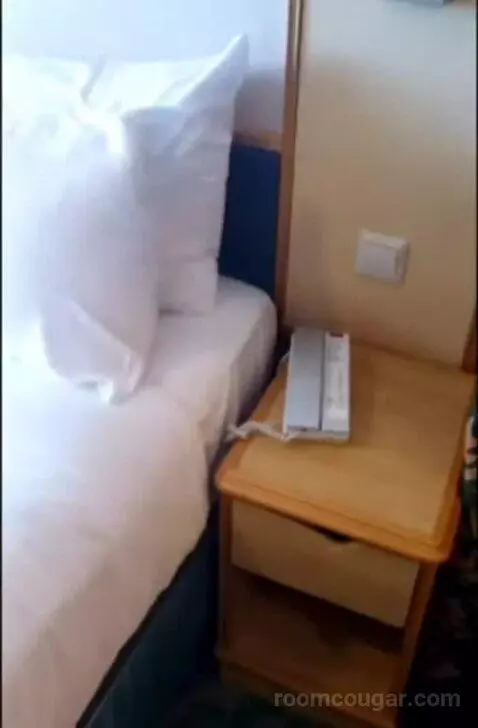 Balcony Cabin (#9642) bed picture #9