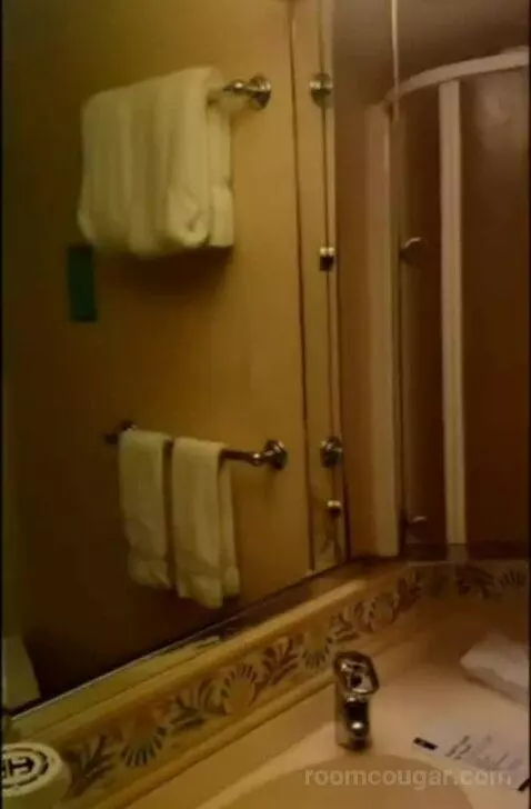 Balcony Cabin (#9642) bathroom picture #7