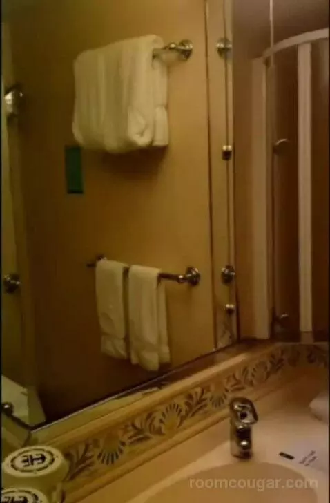 Balcony Cabin (#9642) bathroom picture #8