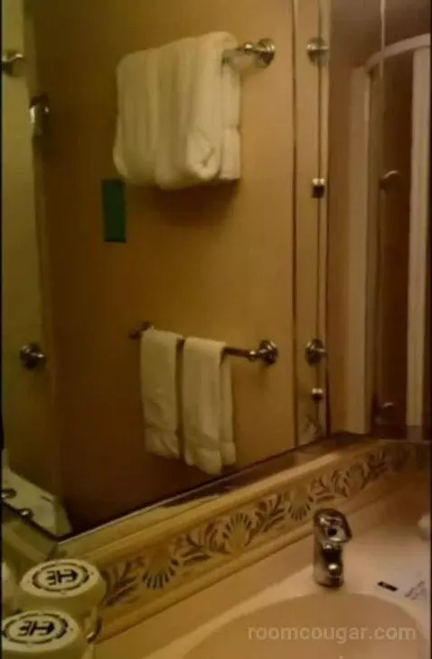 Balcony Cabin (#9642) bathroom picture #9