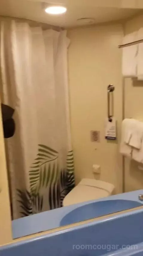 Balcony Cabin (#9729) bathroom picture #2