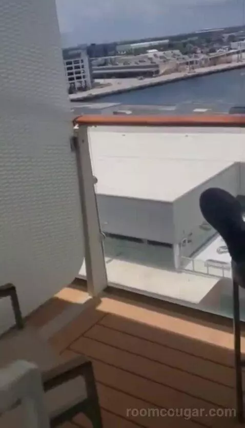 Balcony Cabin (Aqua Class  ) view picture #8