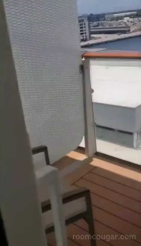 Balcony Cabin (Aqua Class  ) view picture #12