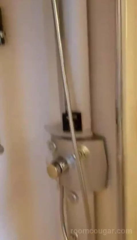 Balcony Cabin (Aqua Class  ) bathroom picture #1
