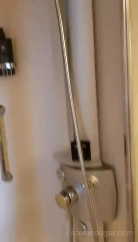 Balcony Cabin (Aqua Class  ) bathroom picture #2