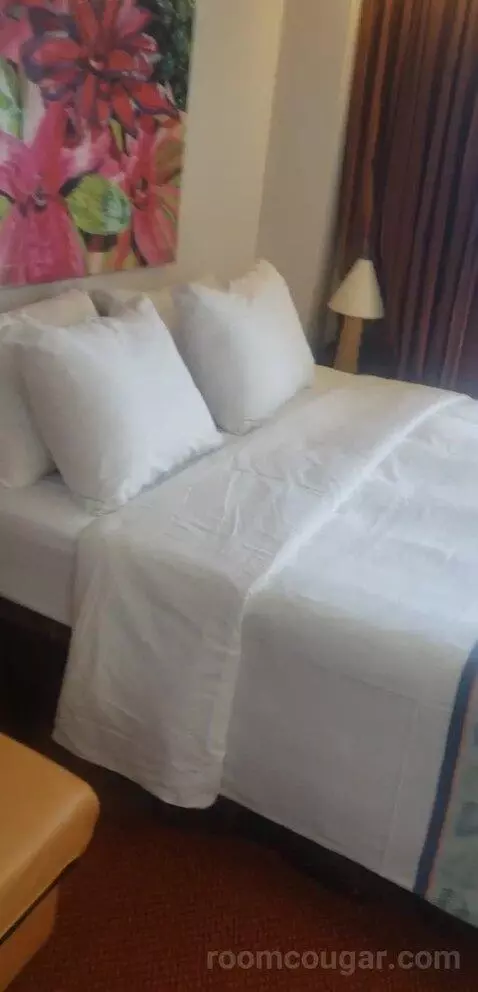 thecomplife's review preview (Carnival Magic)