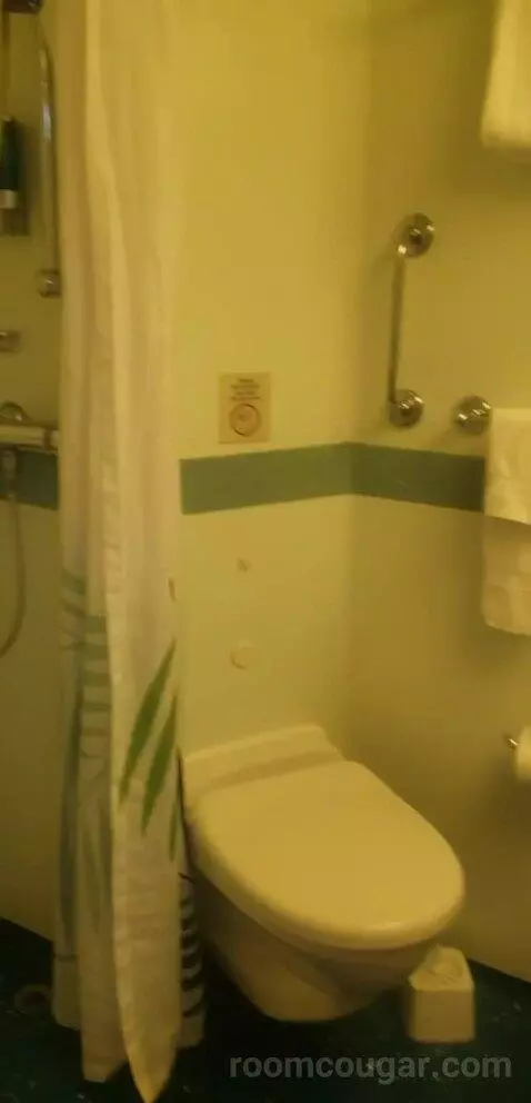 Balcony Cabin (#6272) bathroom picture #3