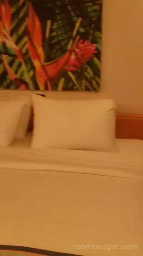 Balcony Cabin (#6396) bed picture #10