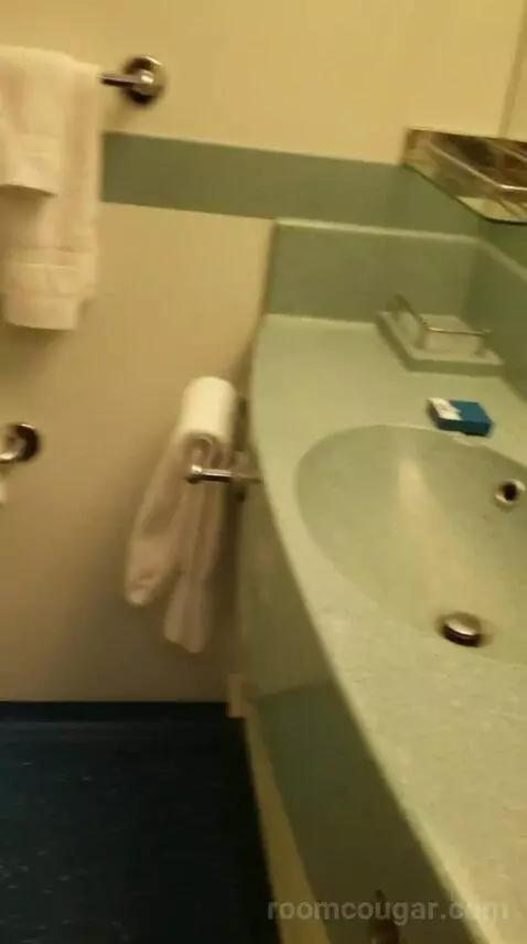 Balcony Cabin (#6396) bathroom picture #7