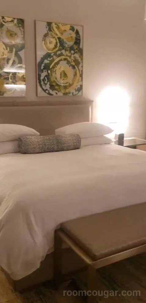 thecomplife's review preview (Seminole Hard Rock Hotel & Casino Hollywood)