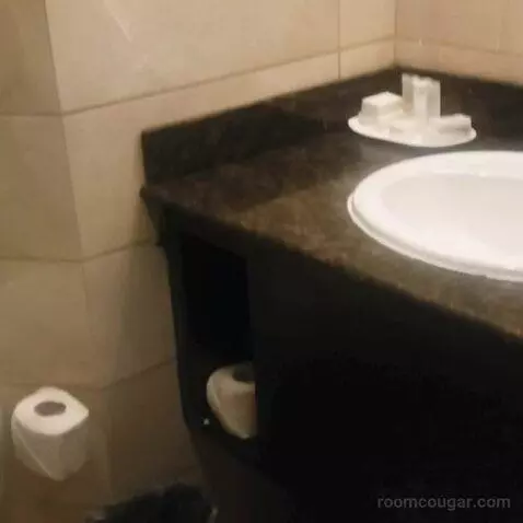 Standard (#2015) bathroom picture #3