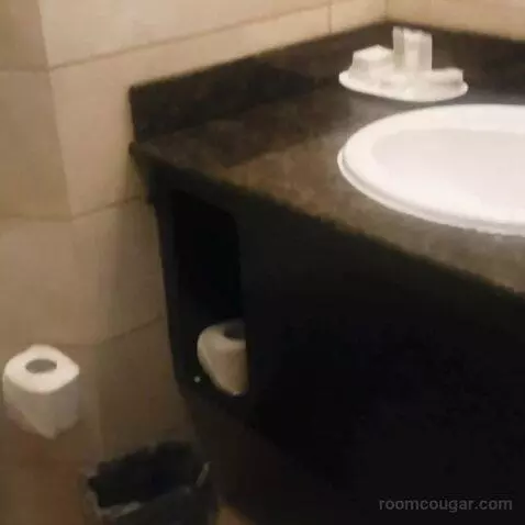 Standard (#2015) bathroom picture #4