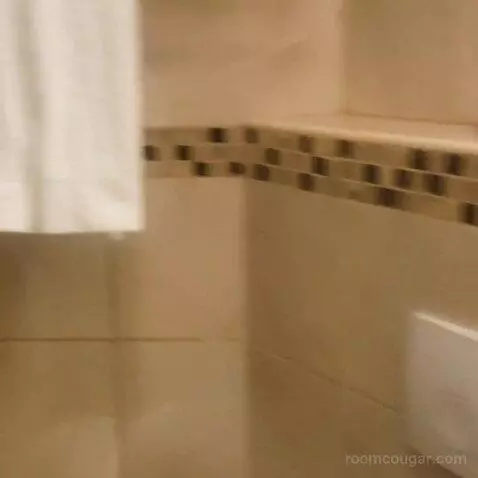 Standard (#2015) bathroom picture #5