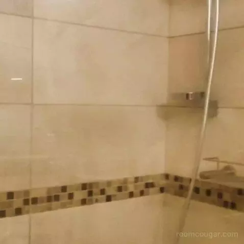 Standard (#2015) bathroom picture #7