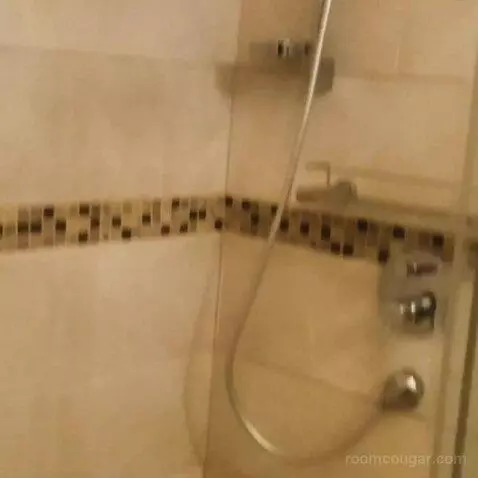 Standard (#2015) bathroom picture #9