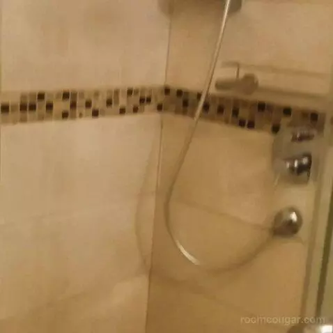 Standard (#2015) bathroom picture #10