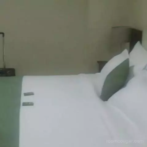 Standard (#217) bed picture #10