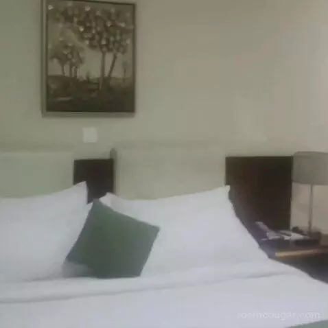 Standard (#217) bed picture #3