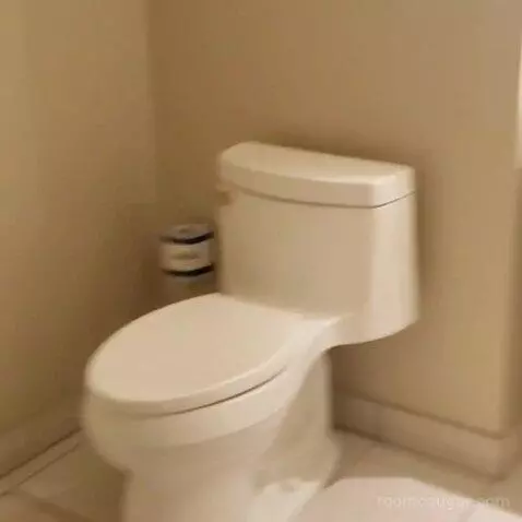 Deluxe King Room (#23363) bathroom picture #6