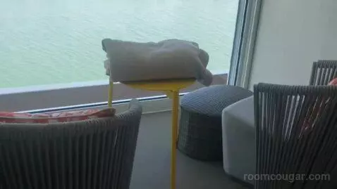 Infinite Ocean View Veranda (#9174) view picture #3