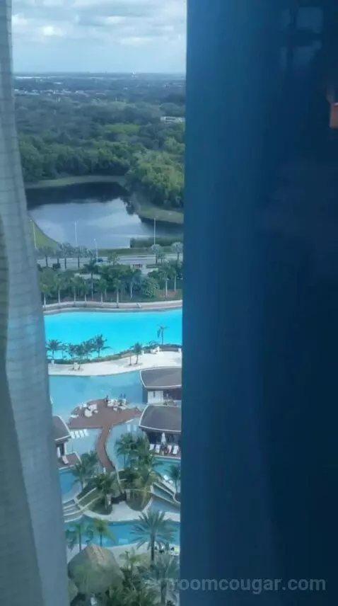 King Room with Pool View (#12013) view picture #7