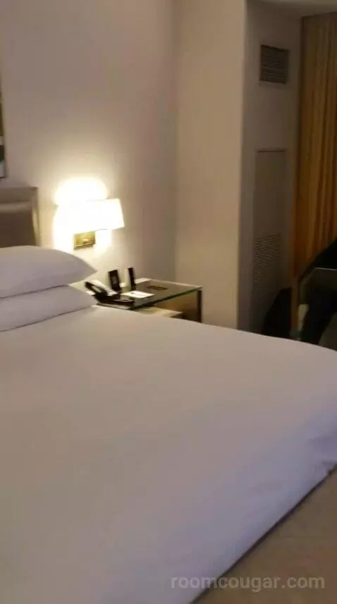 Deluxe King Room (#10532) bed picture #6