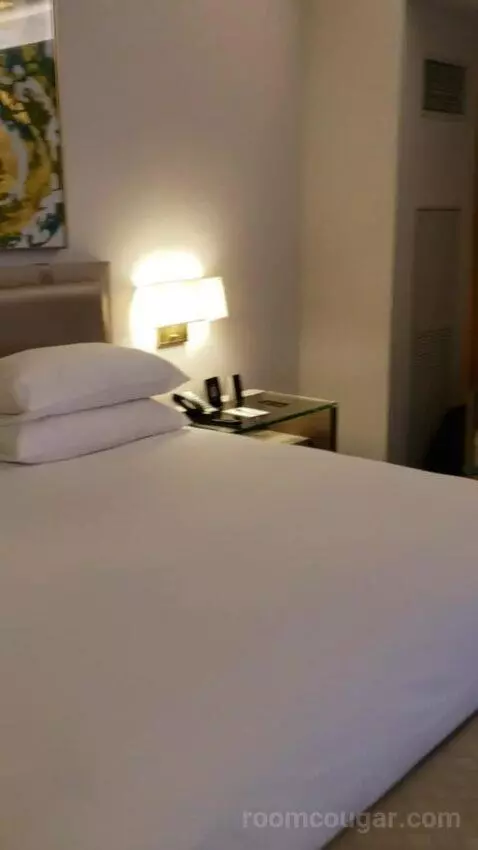 Deluxe King Room (#10532) picture #16