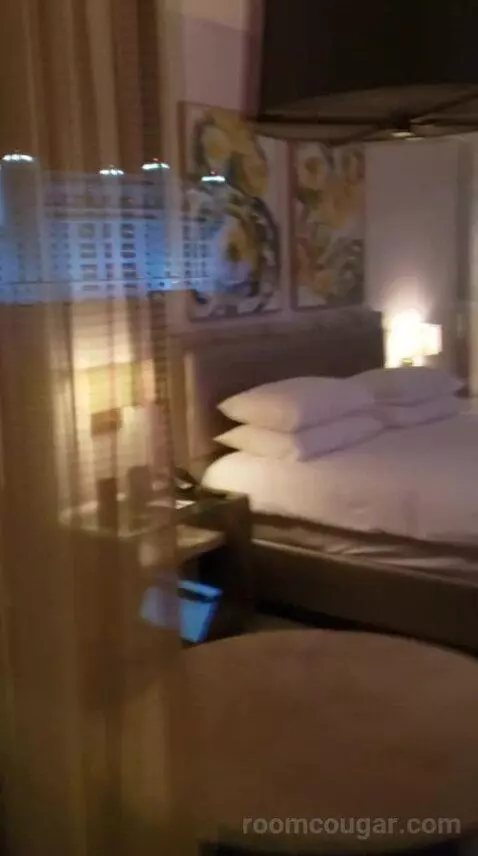 Deluxe King Room (#10532) bed picture #10