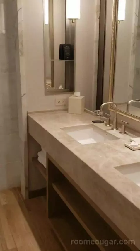 Deluxe King Room (#10532) bathroom picture #2