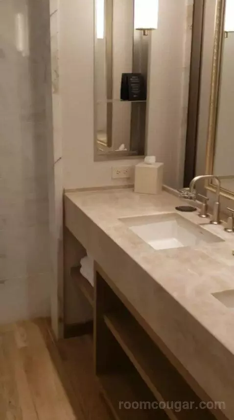 Deluxe King Room (#10532) bathroom picture #3