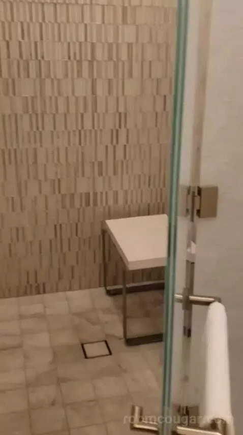 Deluxe King Room (#10532) bathroom picture #4