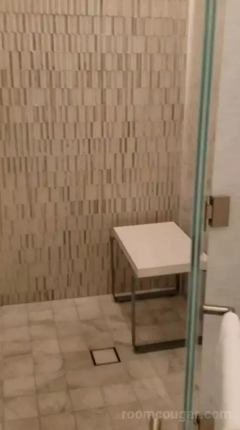 Deluxe King Room (#10532) bathroom picture #5