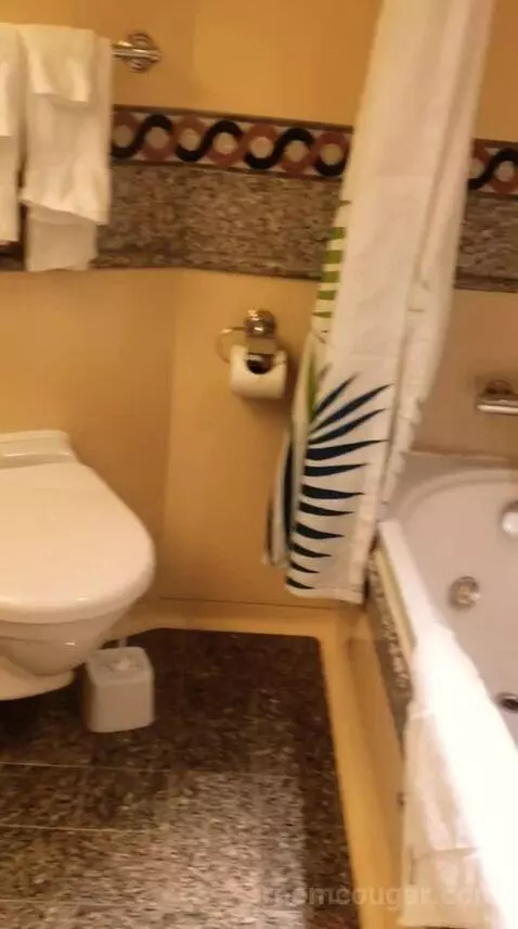 Suite (#7333) bathroom picture #5