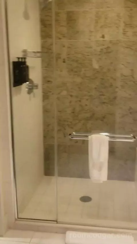 Standard King Room - Lower Floor (#818) bathroom picture #1