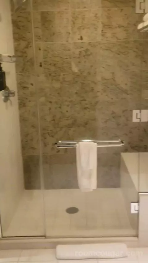 Standard King Room - Lower Floor (#818) bathroom picture #2