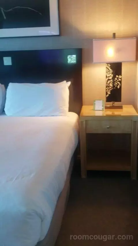 Standard King Room - Lower Floor (#818) bed picture #1