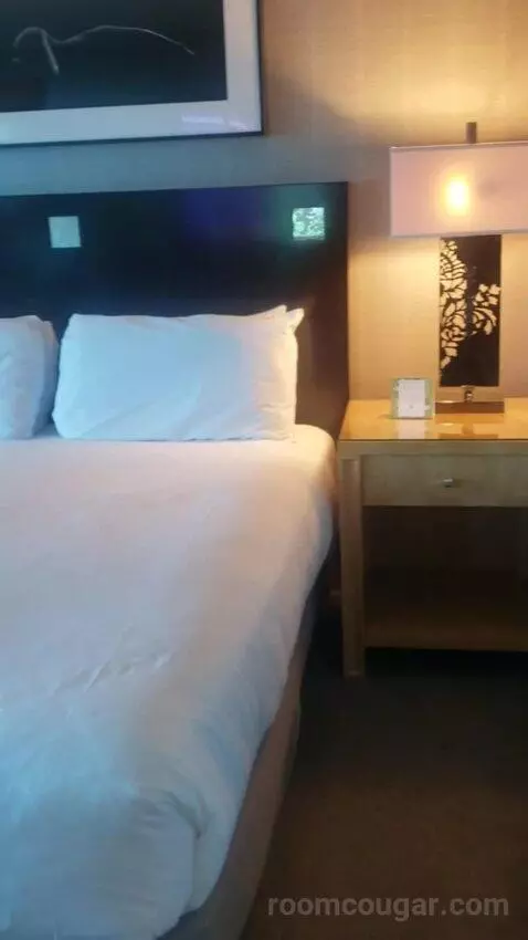Standard King Room - Lower Floor (#818) bed picture #2