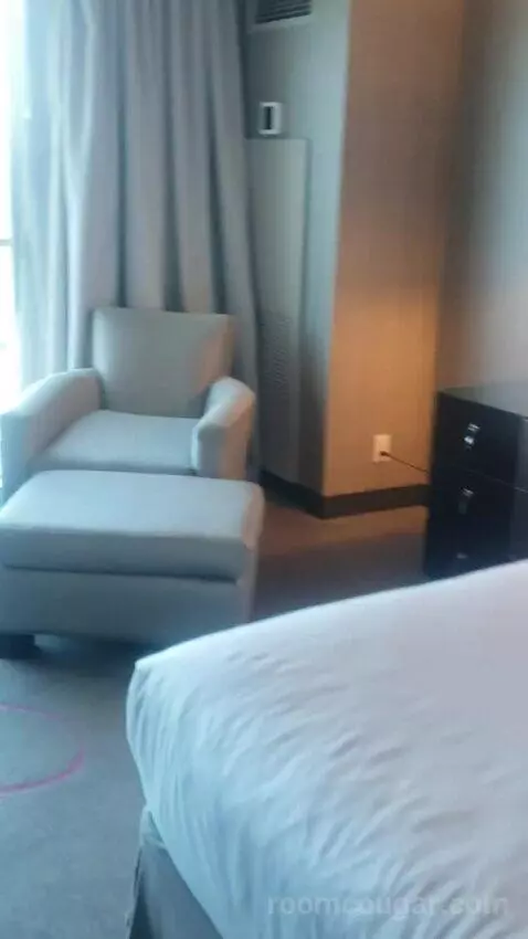 Standard King Room - Lower Floor (#818) picture #13