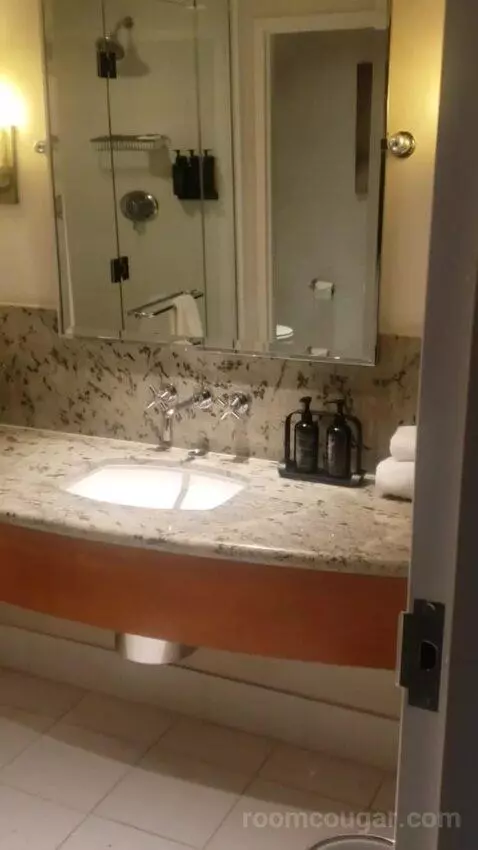 Standard King Room - Lower Floor (#818) bathroom picture #3