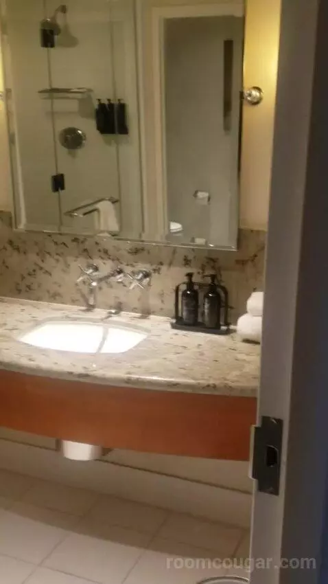 Standard King Room - Lower Floor (#818) bathroom picture #4