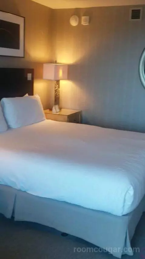 Standard King Room - Lower Floor (#818) bed picture #7