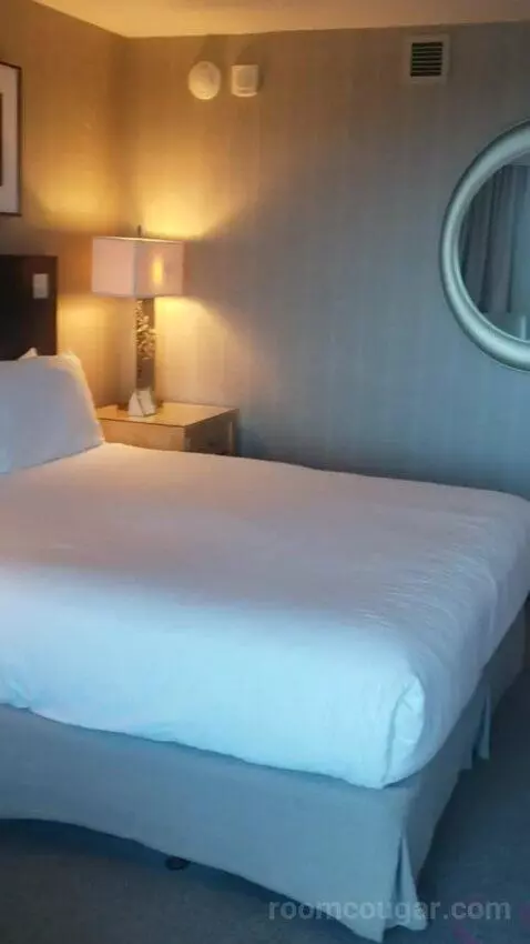 Standard King Room - Lower Floor (#818) bed picture #8